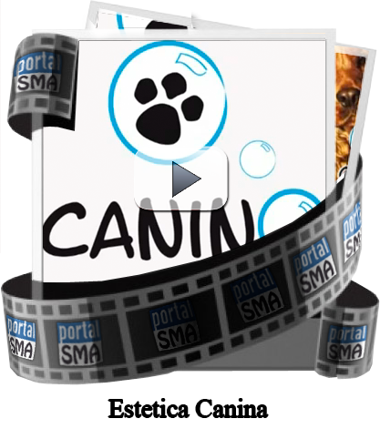 estetica-canina-san-miguel-de-allende