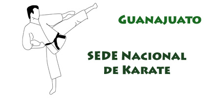 guanajuato-sede-de-karate