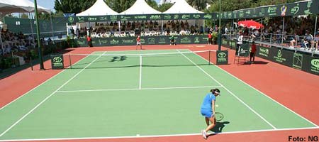 open-guanajuato