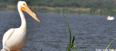 laguna-de-yuridia