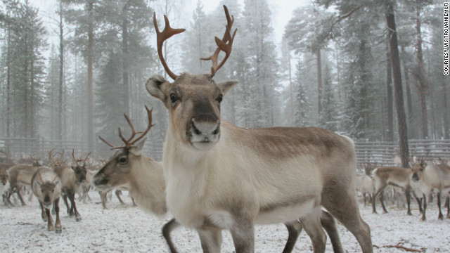 norte de finlandia