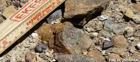 hallan-diente-de-dinosaurio-de-hace-75-millones-de-aos