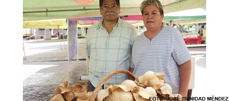 festival-de-las-nieves