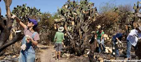 restauracion-de-el-charco