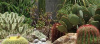 charco-del-ingenio-estrategias-para-proteger-la-biodiversidad